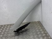 (A) pillar trim