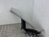 (A) pillar trim