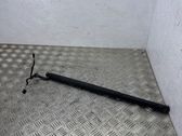 Tailgate/trunk strut/damper
