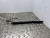 Tailgate/trunk strut/damper