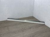 Front door trim (molding)