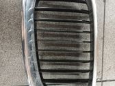 Grille calandre supérieure de pare-chocs avant