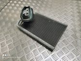 Heater blower radiator