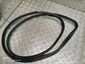 Front door rubber seal