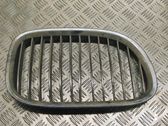 Atrapa chłodnicy / Grill