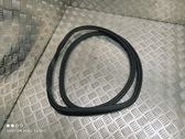 Rear door rubber seal (on body)