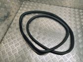 Rear door rubber seal (on body)