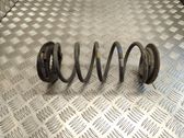 Rear coil spring