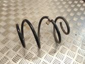 Front coil spring