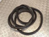 Front door rubber seal