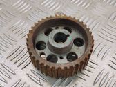 Fuel pump gear (pulley)