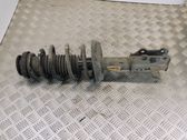 Front shock absorber with coil spring