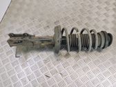 Front shock absorber with coil spring