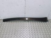 Windshield trim