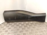 Rear door trim (molding)