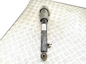 Rear shock absorber/damper