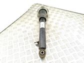 Rear shock absorber/damper