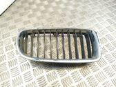 Front bumper upper radiator grill