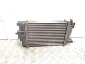 Intercooler radiator