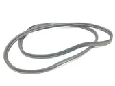 Trunk rubber seal (body)