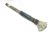 Rear shock absorber/damper