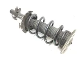 Front shock absorber with coil spring