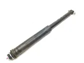 Rear shock absorber/damper