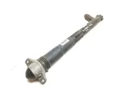 Rear shock absorber/damper