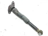 Rear shock absorber/damper