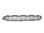 Front bumper lower grill