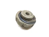 Rear coil spring rubber mount