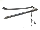 Tailgate/trunk strut/damper
