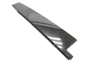 Rear door glass trim molding