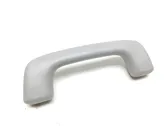 Front interior roof grab handle