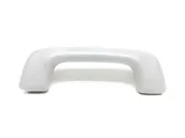 Front interior roof grab handle