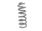 Rear coil spring