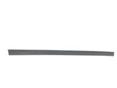 Front door trim (molding)