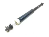 Rear shock absorber/damper