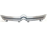 Front grill