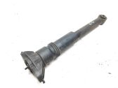 Rear shock absorber/damper