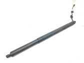 Tailgate/trunk strut/damper