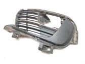 Front bumper lower grill