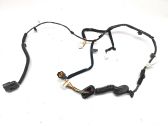 Rear door wiring loom