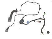 Rear door wiring loom