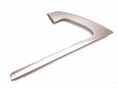 Other rear door trim element
