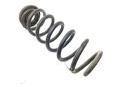 Rear coil spring