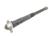 Stoßdämpfer hinten