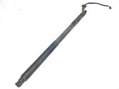 Tailgate/trunk strut/damper