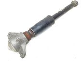 Rear shock absorber/damper