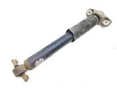 Rear shock absorber/damper